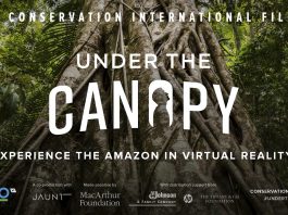 under-the-canopy-jaunt-amazon