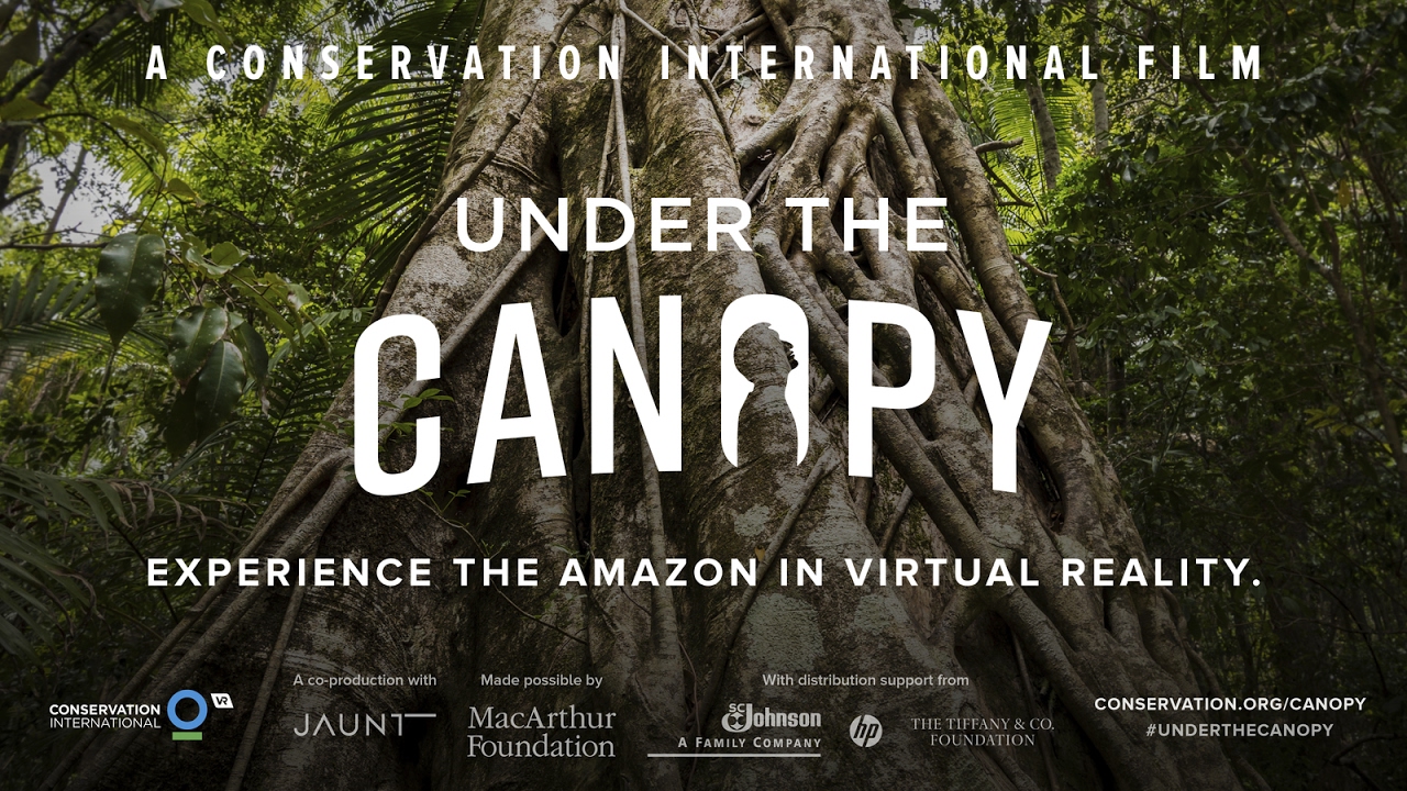 under-the-canopy-jaunt-amazon