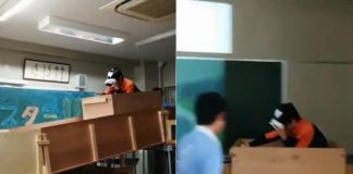 vr-roller-coaster-in-Classroom