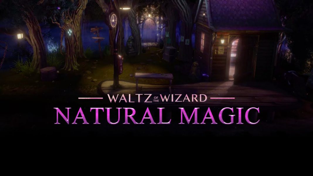 waltz-of-the-wizarv-d-netural-magic-head